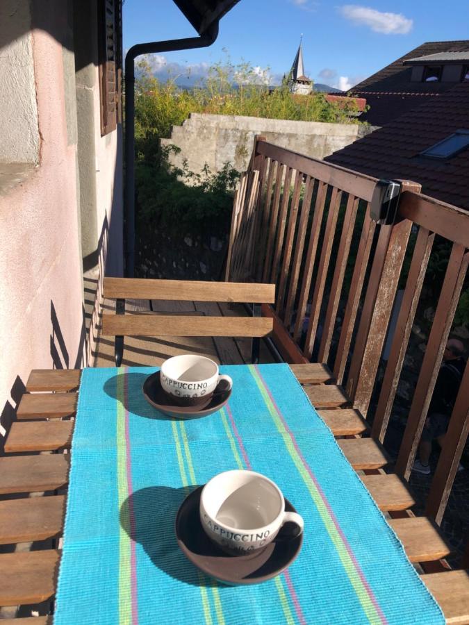 Appartement Dans La Vieille Ville, En Face Du Chateau Annecy Exterior photo